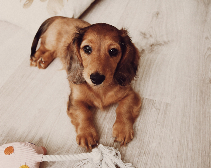 Wood Rectangle Photo Block