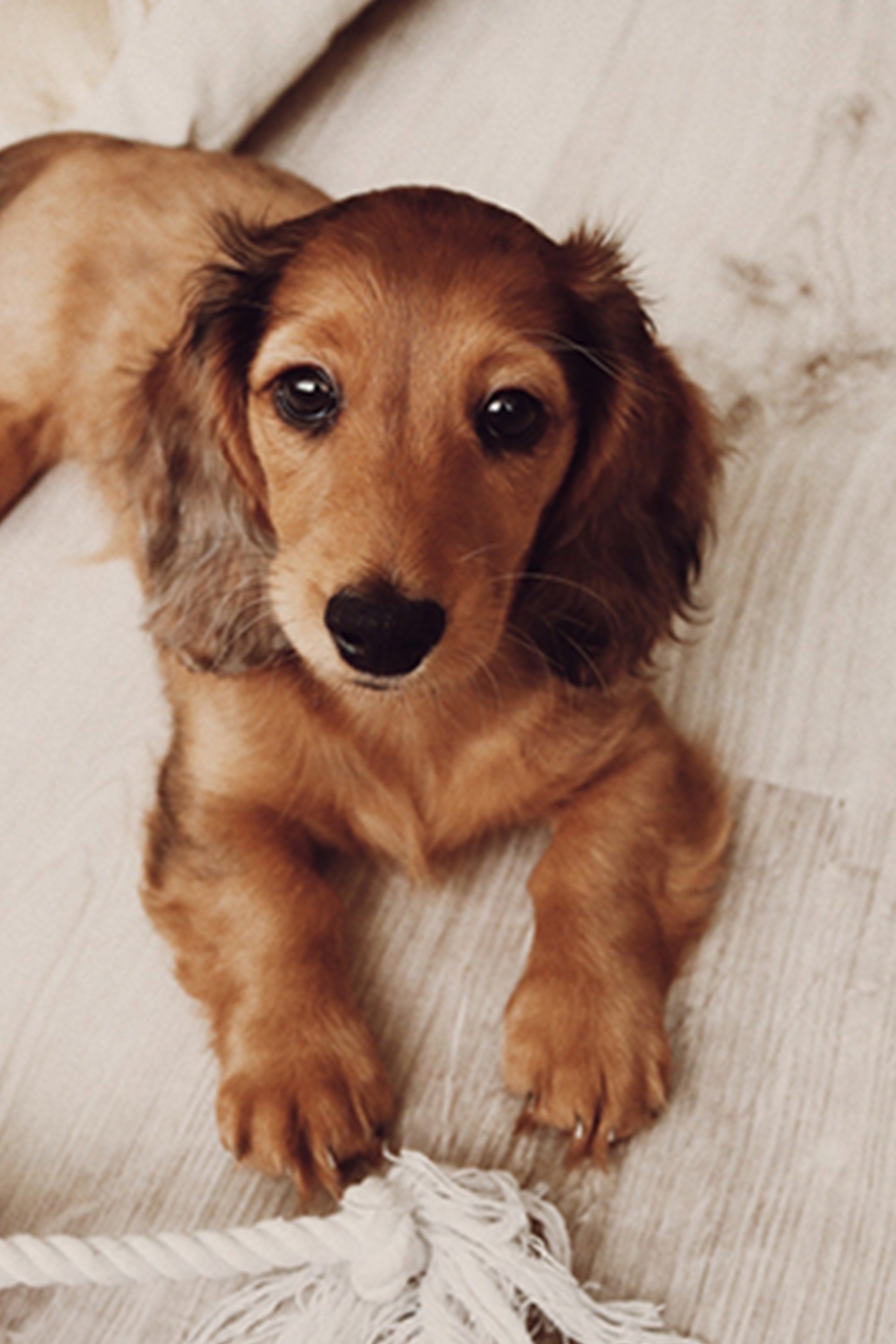 Wood Rectangle Photo Block