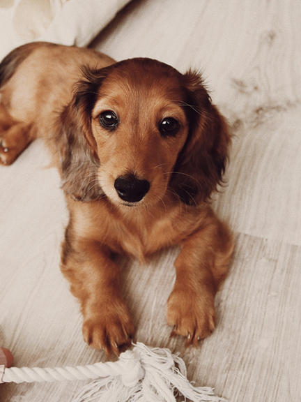 Wood Rectangle Photo Block