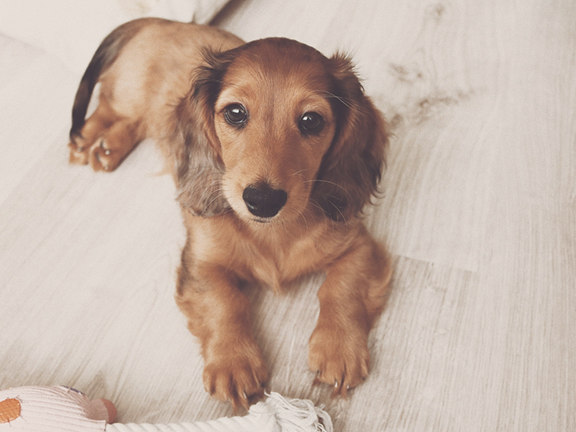 Wood Rectangle Photo Block