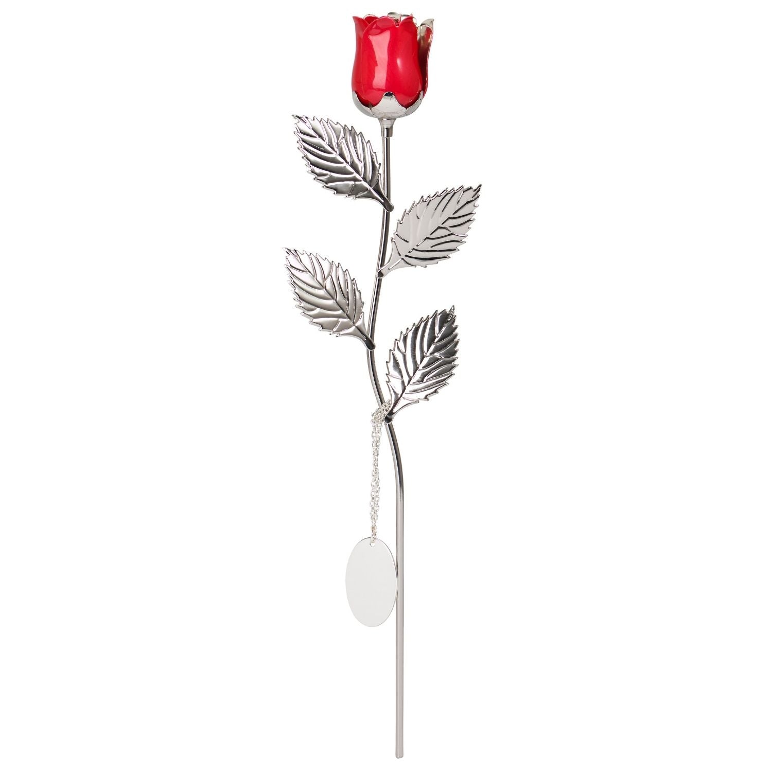 Everlasting Eternity Red Rose