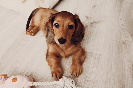 Wood Rectangle Photo Block