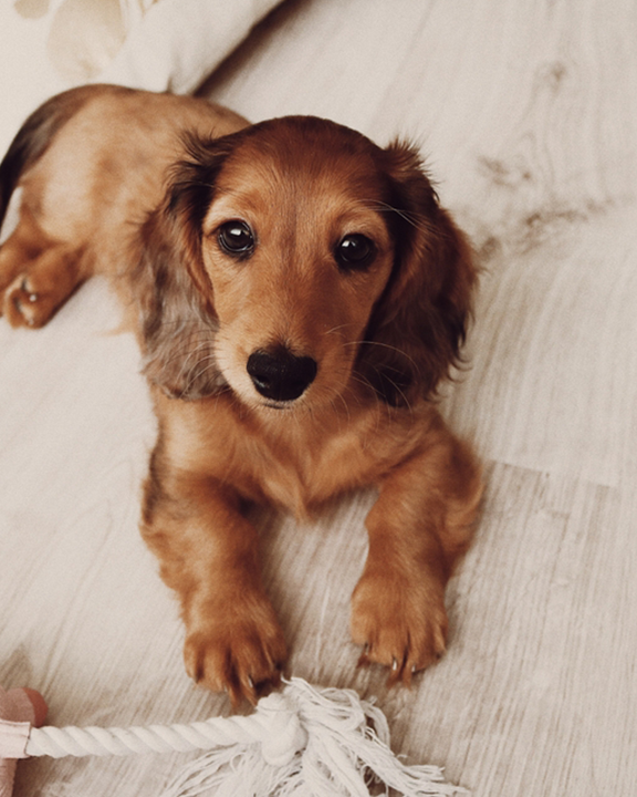 Wood Rectangle Photo Block