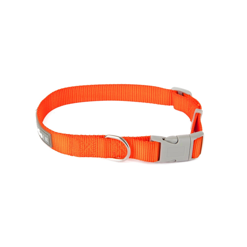 Mister Minit Dog Collar Medium Orange