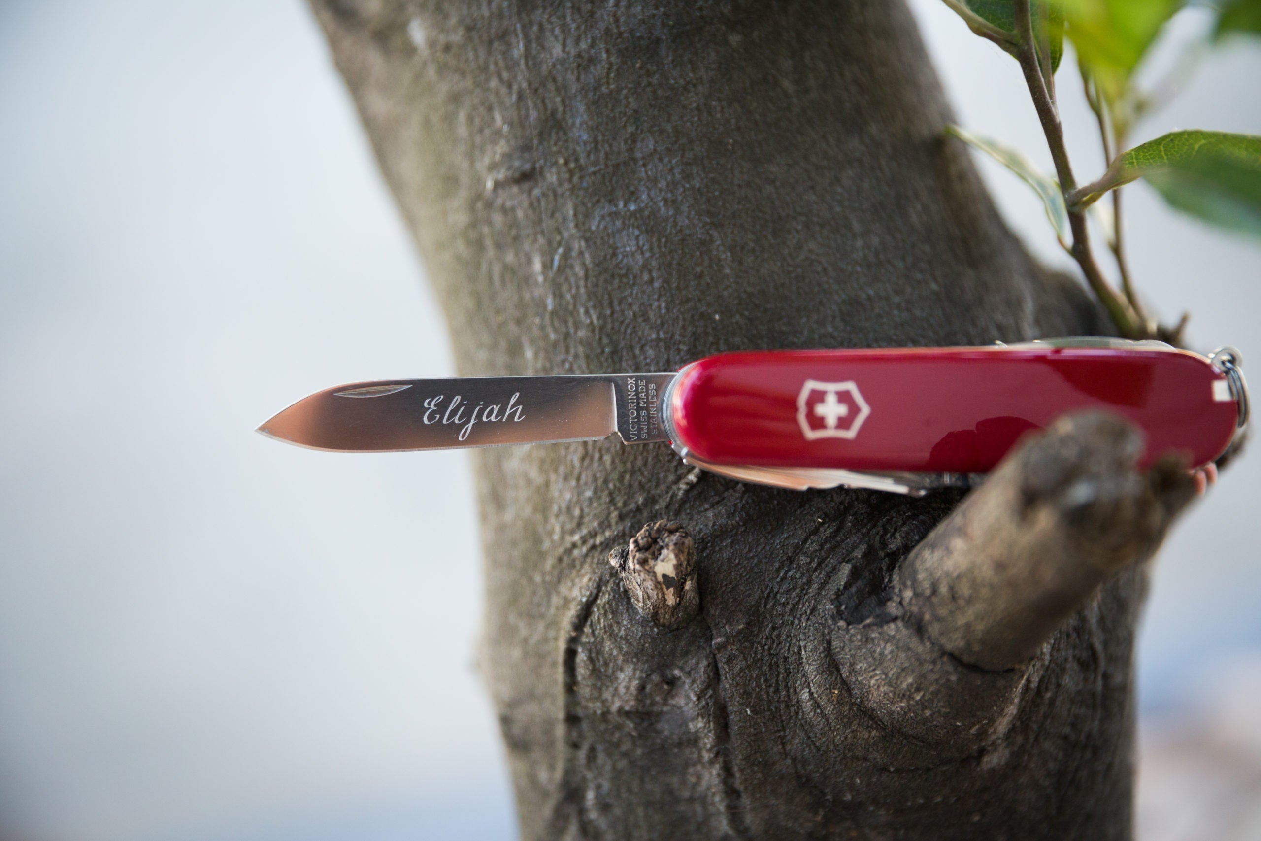 Victorinox Spartan Swiss Army Knife